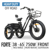 Forza Compact 500W E-Trikes 40-112 Miles Range